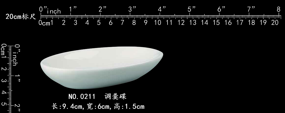 0211 条更碟b1.jpg