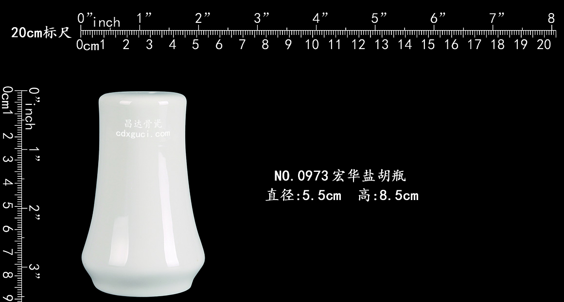 标尺模板20cm.jpg