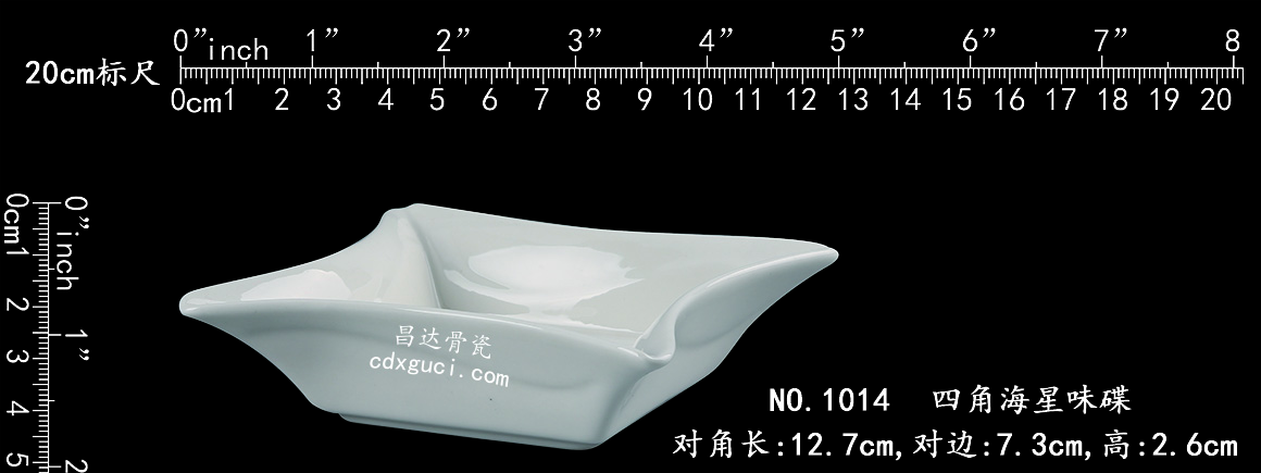 1014 四角海星味碟b1.jpg