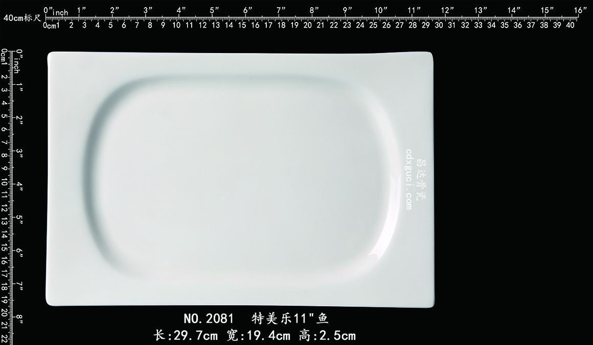 2081 特美乐11鱼b1.jpg